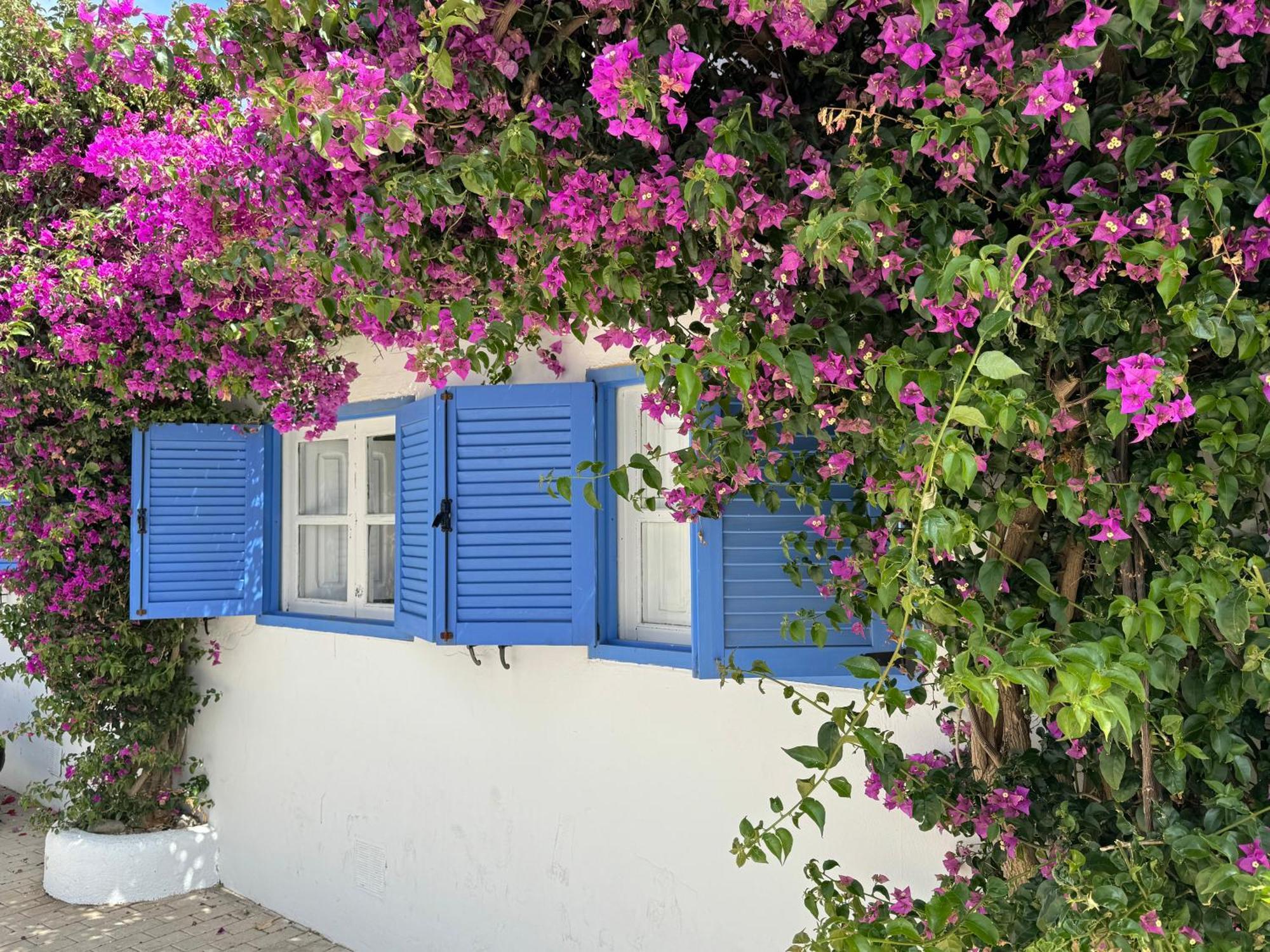 Appartamento Casa Mellis Aguamarga Agua Amarga  Esterno foto